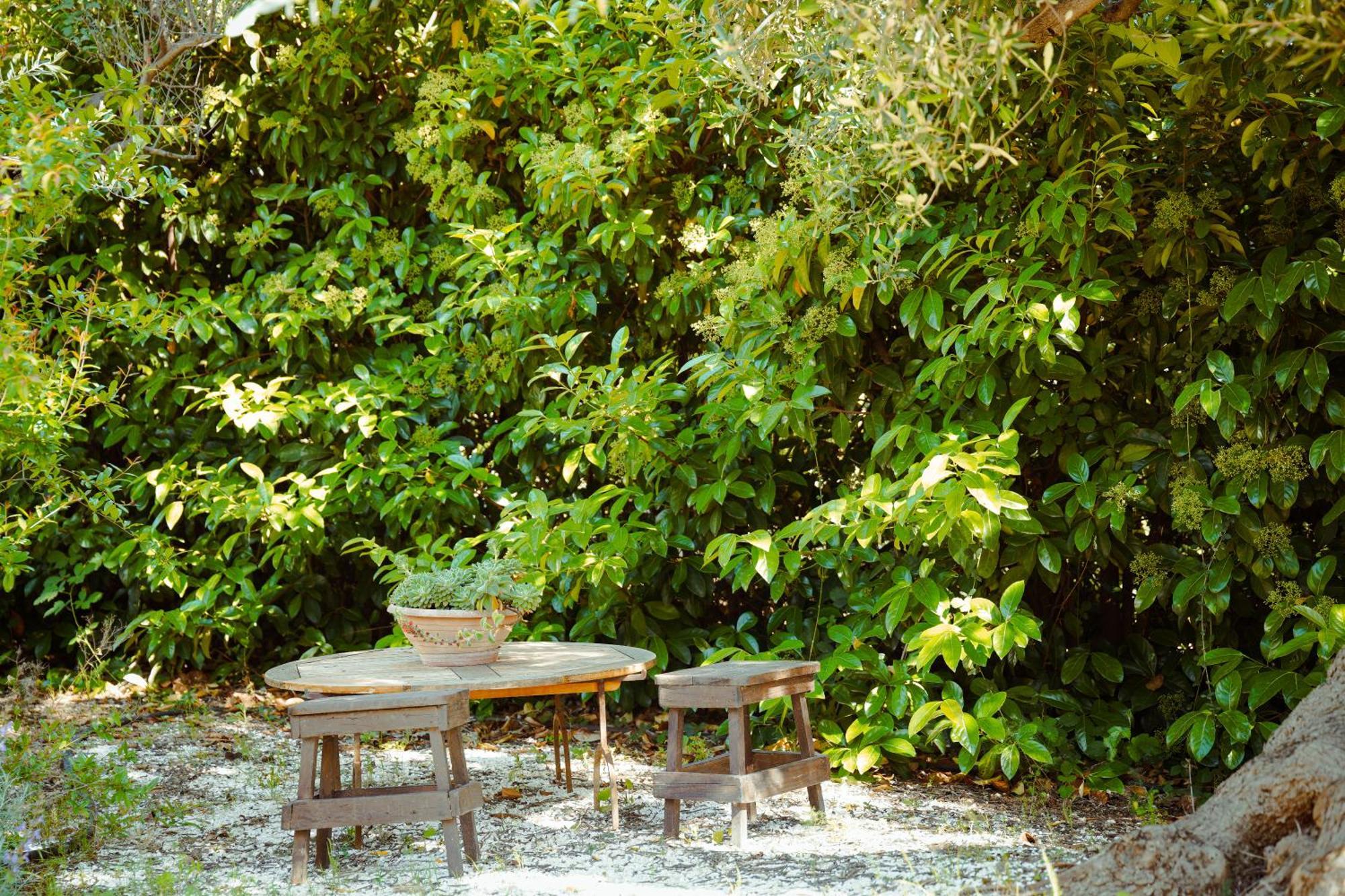 Cortebbianca Fasano Extérieur photo